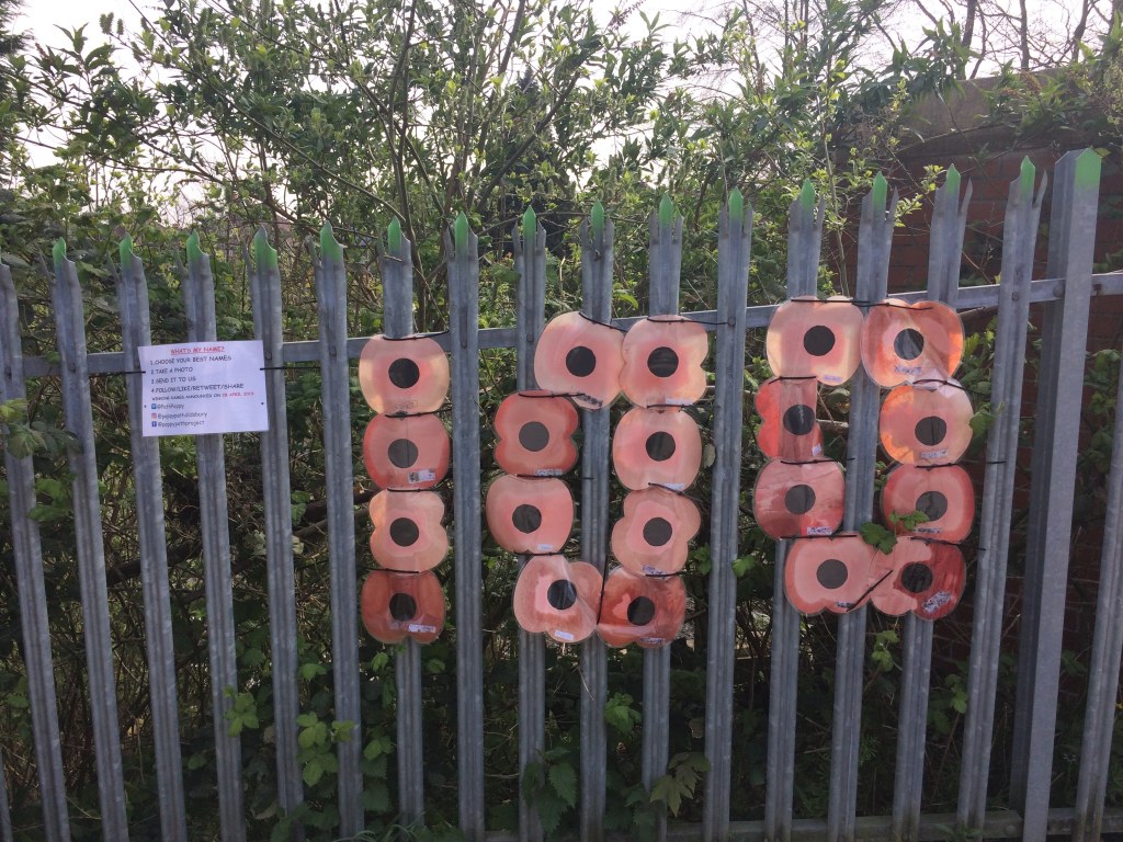 Poppies in the shape of the number 100